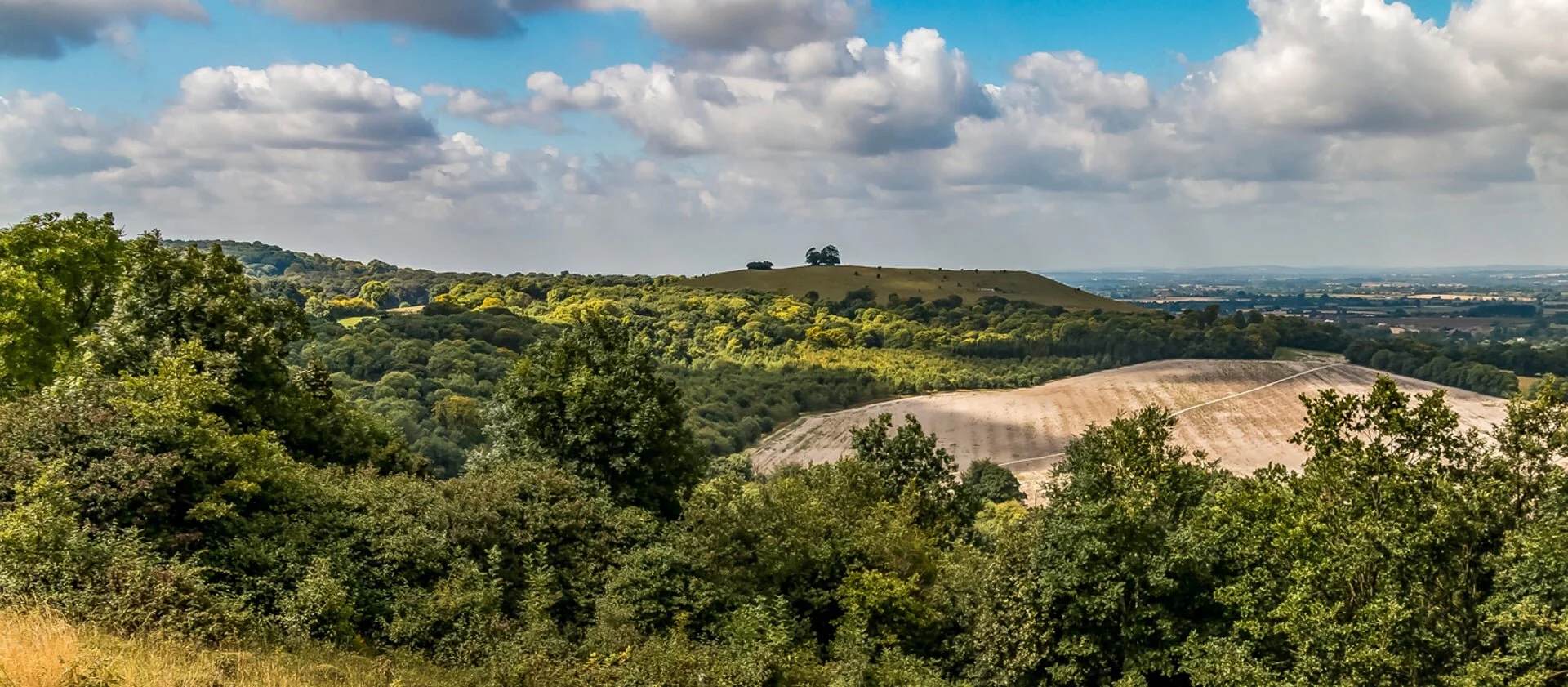 combe hill bucks